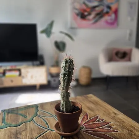 Apartmán Urlaubsoase Mit Panoramabalkon & Platz Fuer 6 Personen Schömberg